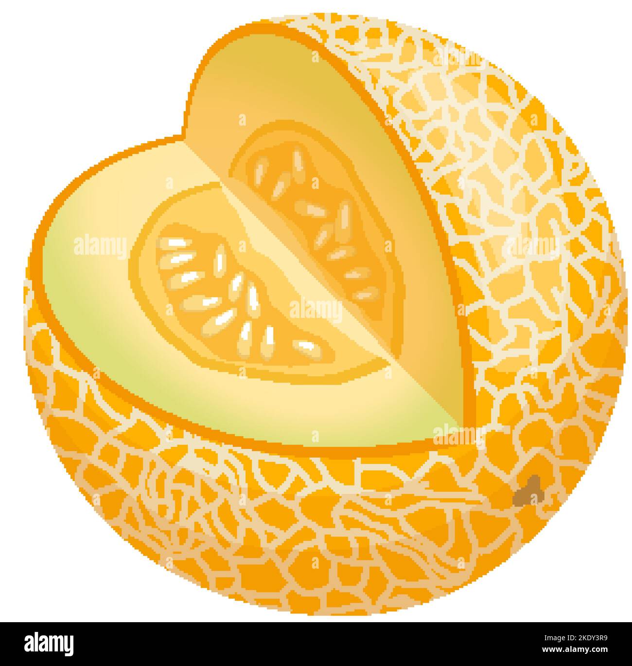 melon yellow cartoon vector illustration Stock Vector Image & Art Alamy