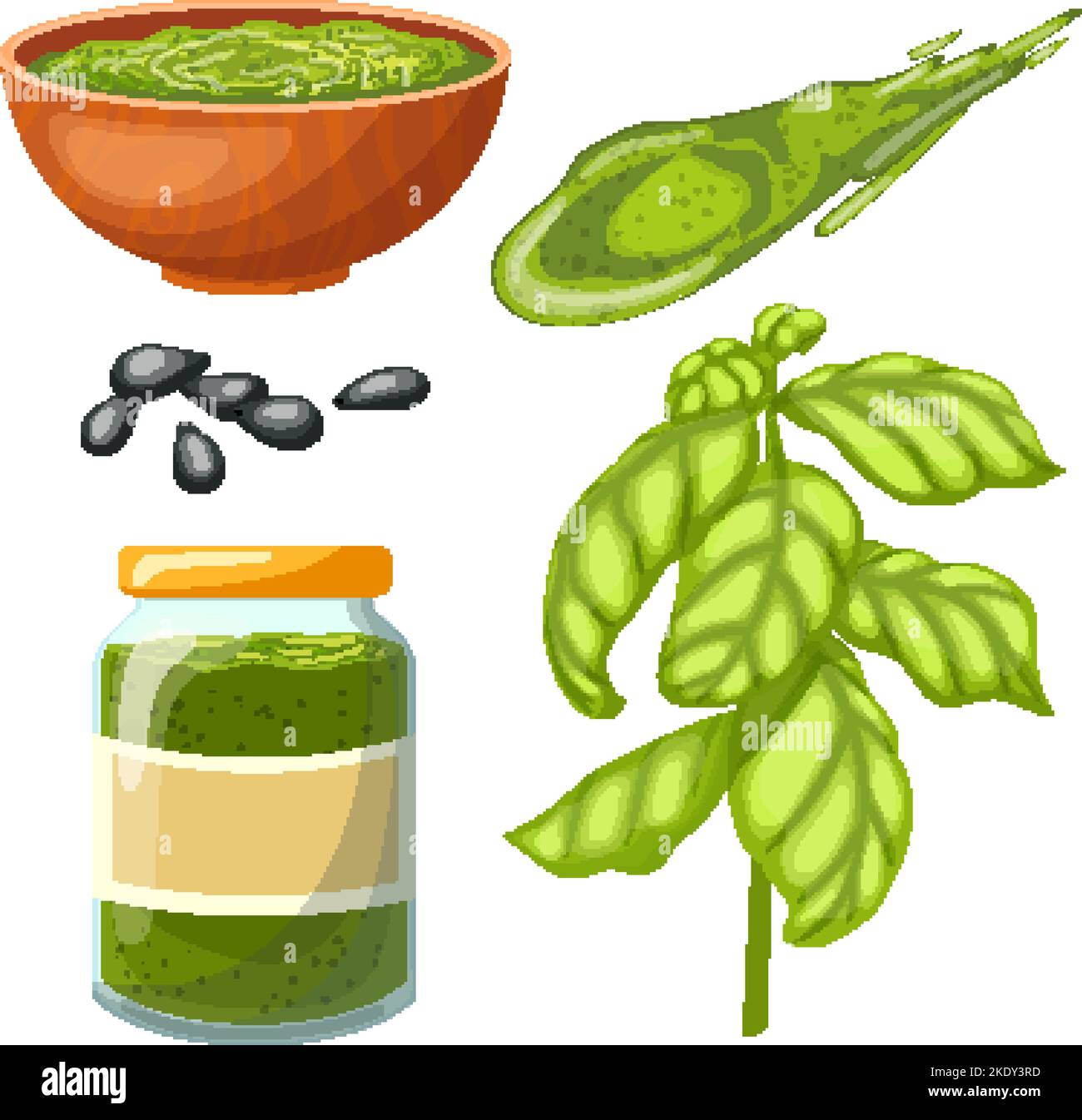 pesto sauce basil set cartoon vector illustration Stock Vector