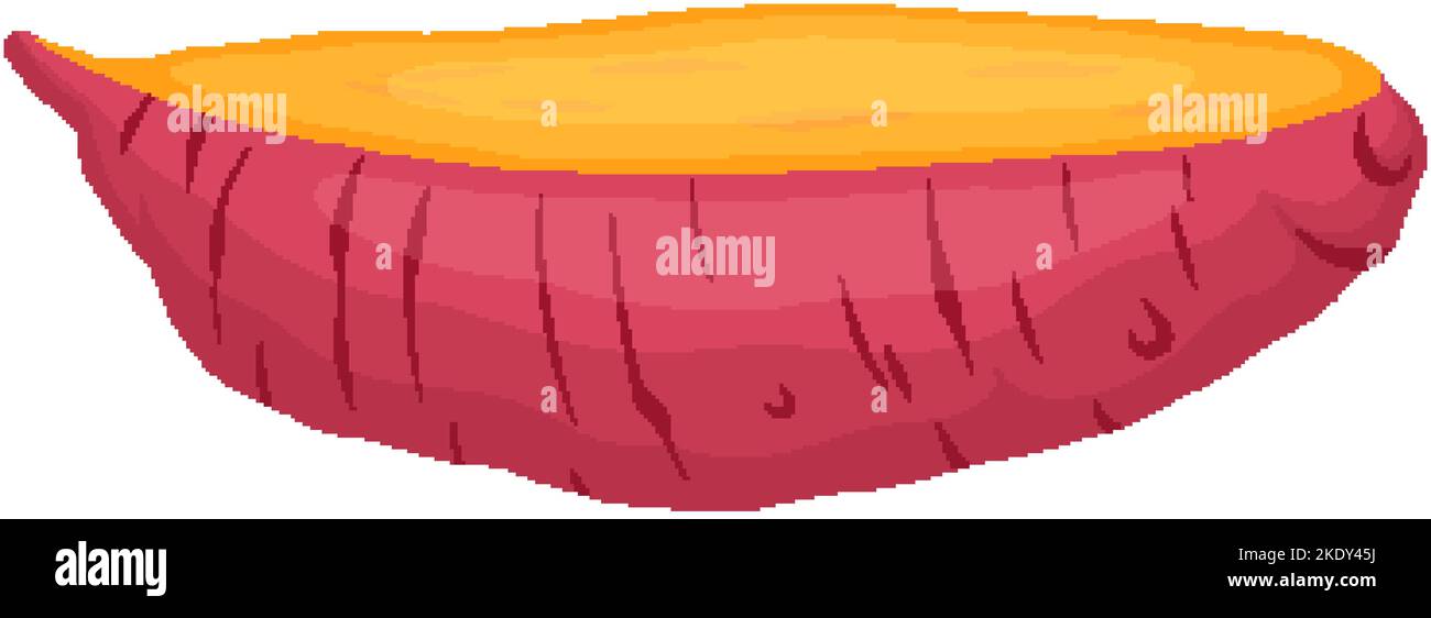 sweet potato cut cartoon vector illustration Stock Vector Image & Art