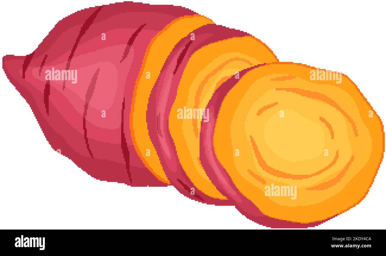 sweet potato cut cartoon vector illustration Stock Vector Image & Art