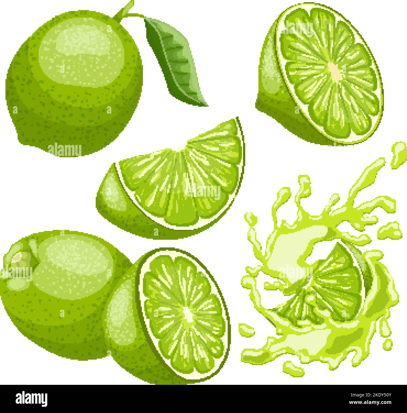 lime green fruit set cartoon vector illustration Stock Vector Image