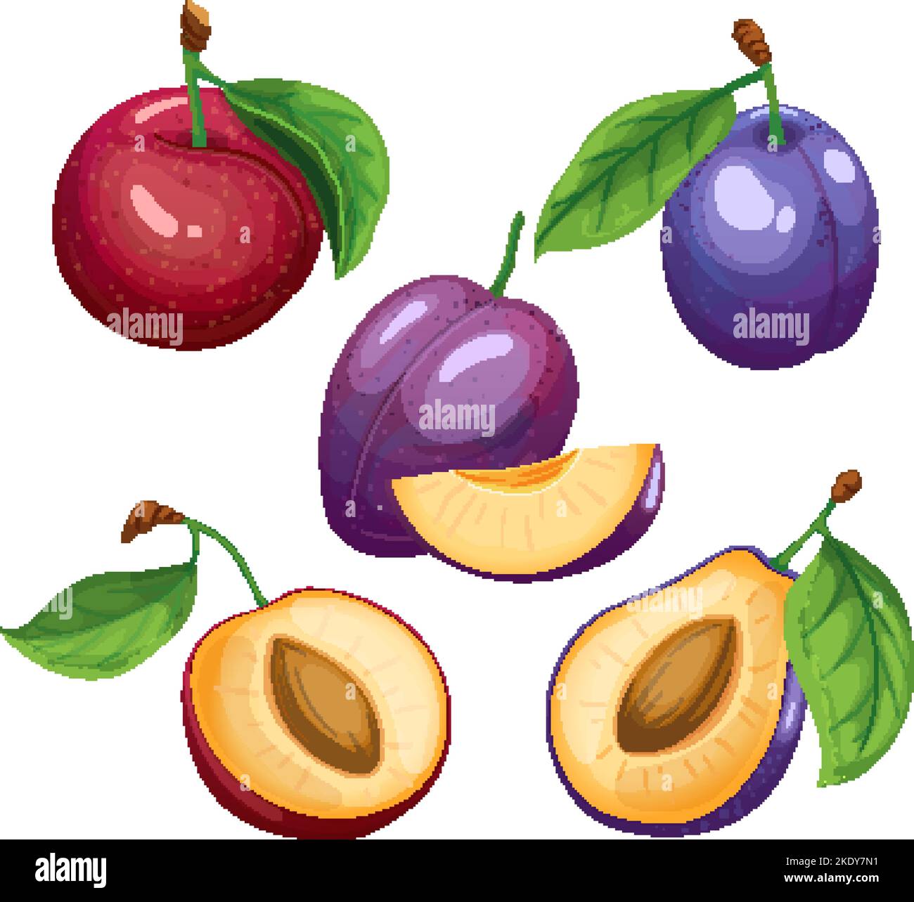 plum fruit set cartoon vector illustration Stock Vector Image & Art Alamy