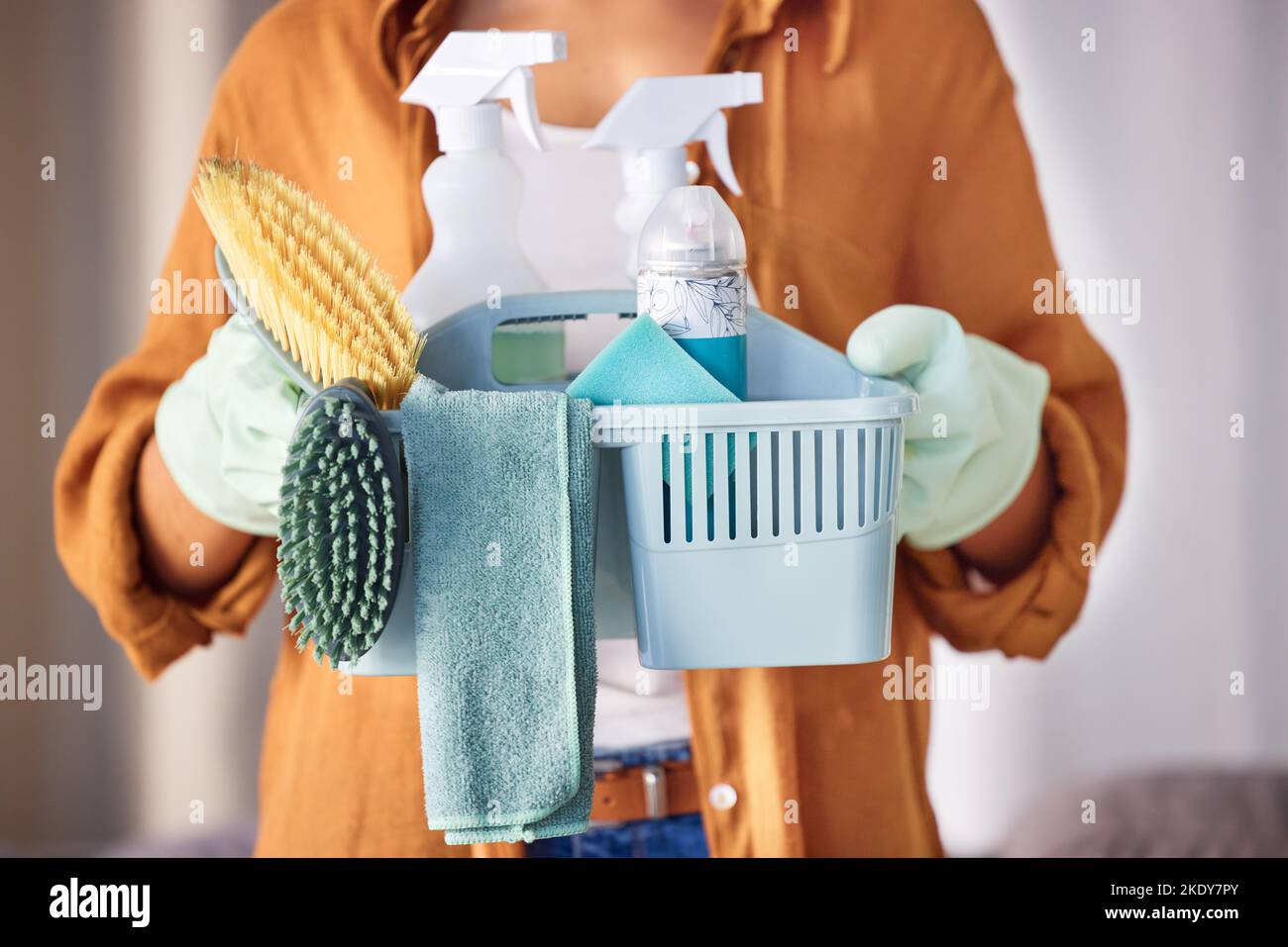 Cleaner, cleaning supplies and ready to start work, prepare for labor and hygiene with brush, bottles and liquid detergents. Domestic, woman and Stock Photo