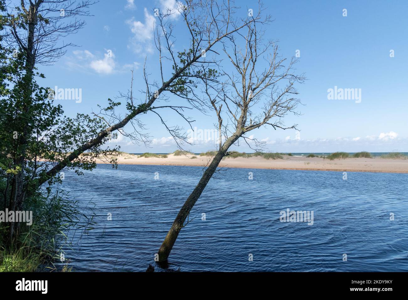 Irbe river hi-res stock photography and images - Alamy