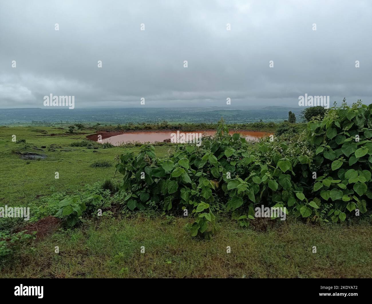 A dirty water pond captured in a farmland in Maharashtra, India Stock