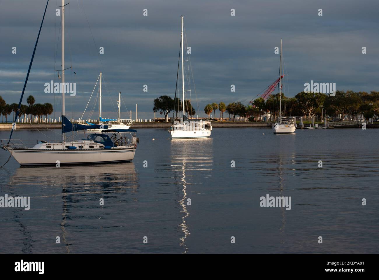 The boats sailing in a harbor surrounded by a tree line Stock Photo - Alamy