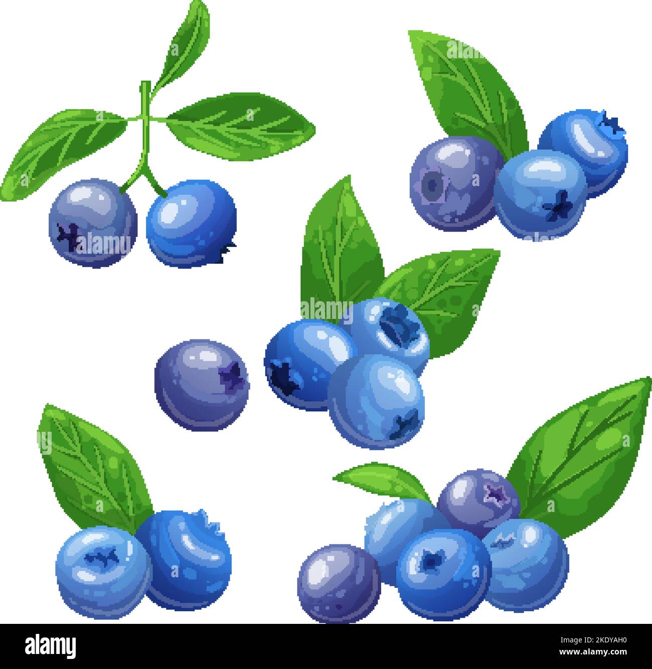blueberry fresh set cartoon vector illustration Stock Vector Image