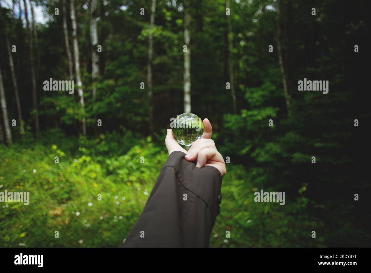 A woman's hand holding a crystal ball Stock Photo - Alamy