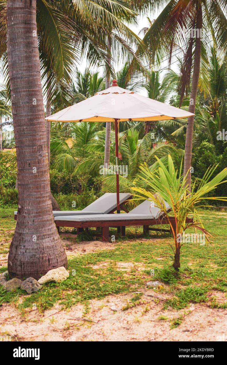 Sun loungers with sun umbrella on the green area of the hotel on a tropical island in Thailand. Stock Photo