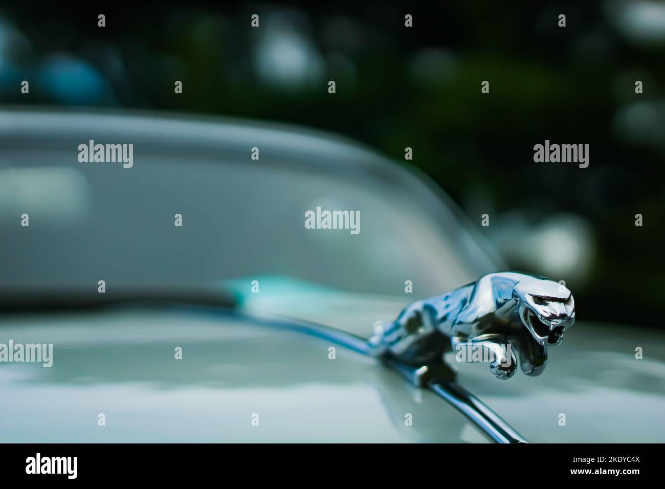 A closeup shot of a silver Jaguar figure on a luxury car Stock Photo