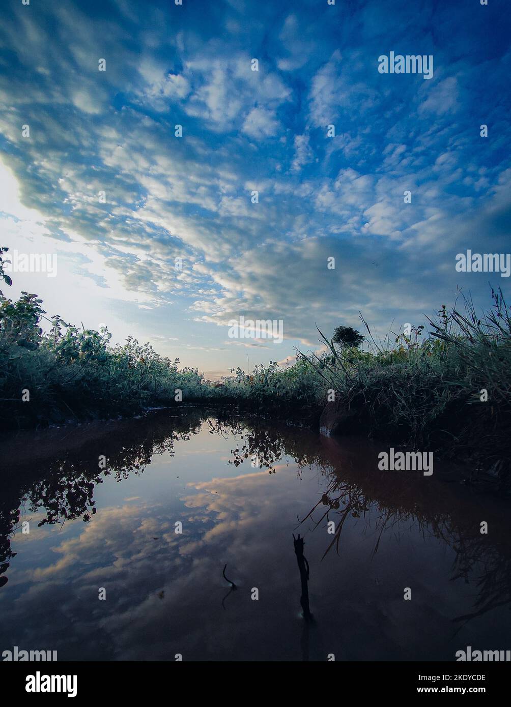 A vertical shot of a river with plantations on both sides under blue ...