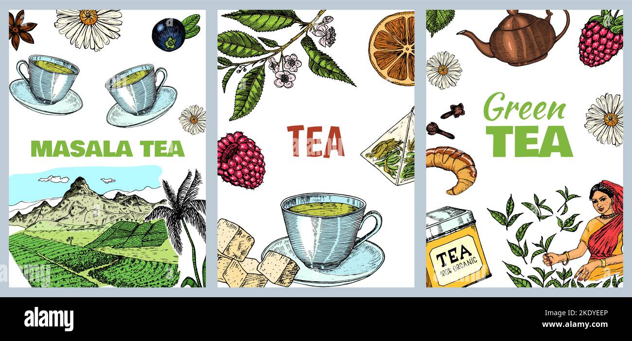Herbal Tea bag card. Teapot, cup, sugar, plants, landscape, raspberries, croissant, lemon, chamomile Poster or banner. Ingredients for shop frame Stock Vector