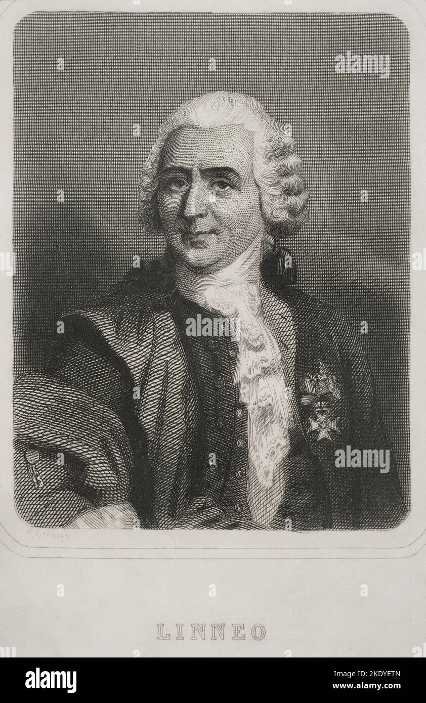 Carl Linnaeus (1707-1778). Swedish naturalist and botanist. He established binomial nomenclature. Portrait. Engraving by Geoffroy. 'Historia Universal', by César Cantú. Volume VI. 1857. Stock Photo