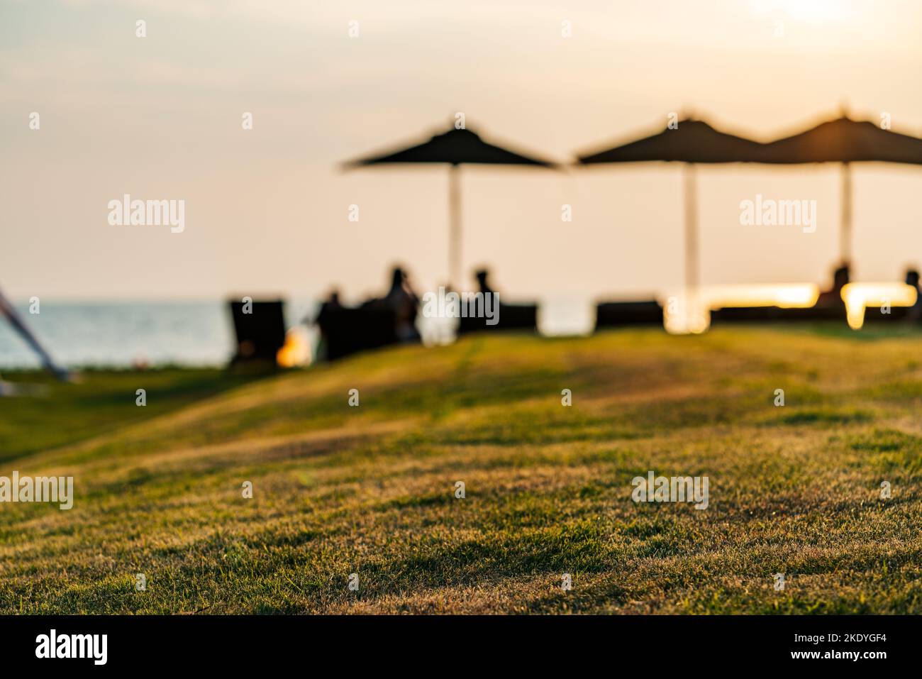 Blurred image a small hills of grass with the background of people