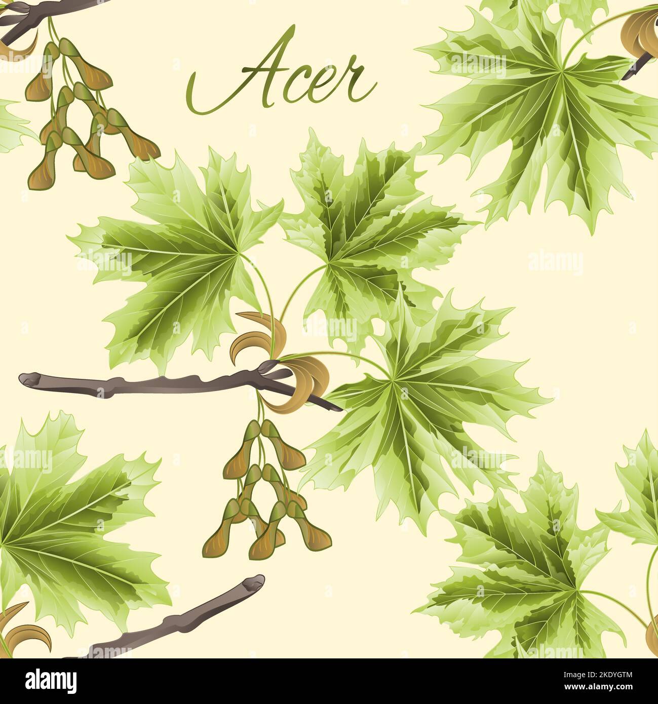 Seamless texture Autumn branch of maple with multicolored leaves summer theme isolated on white vintage vector illustration editable hand draw Stock Vector