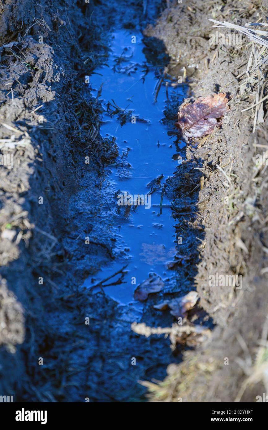 Water in tractor tire footprints Stock Photo Alamy