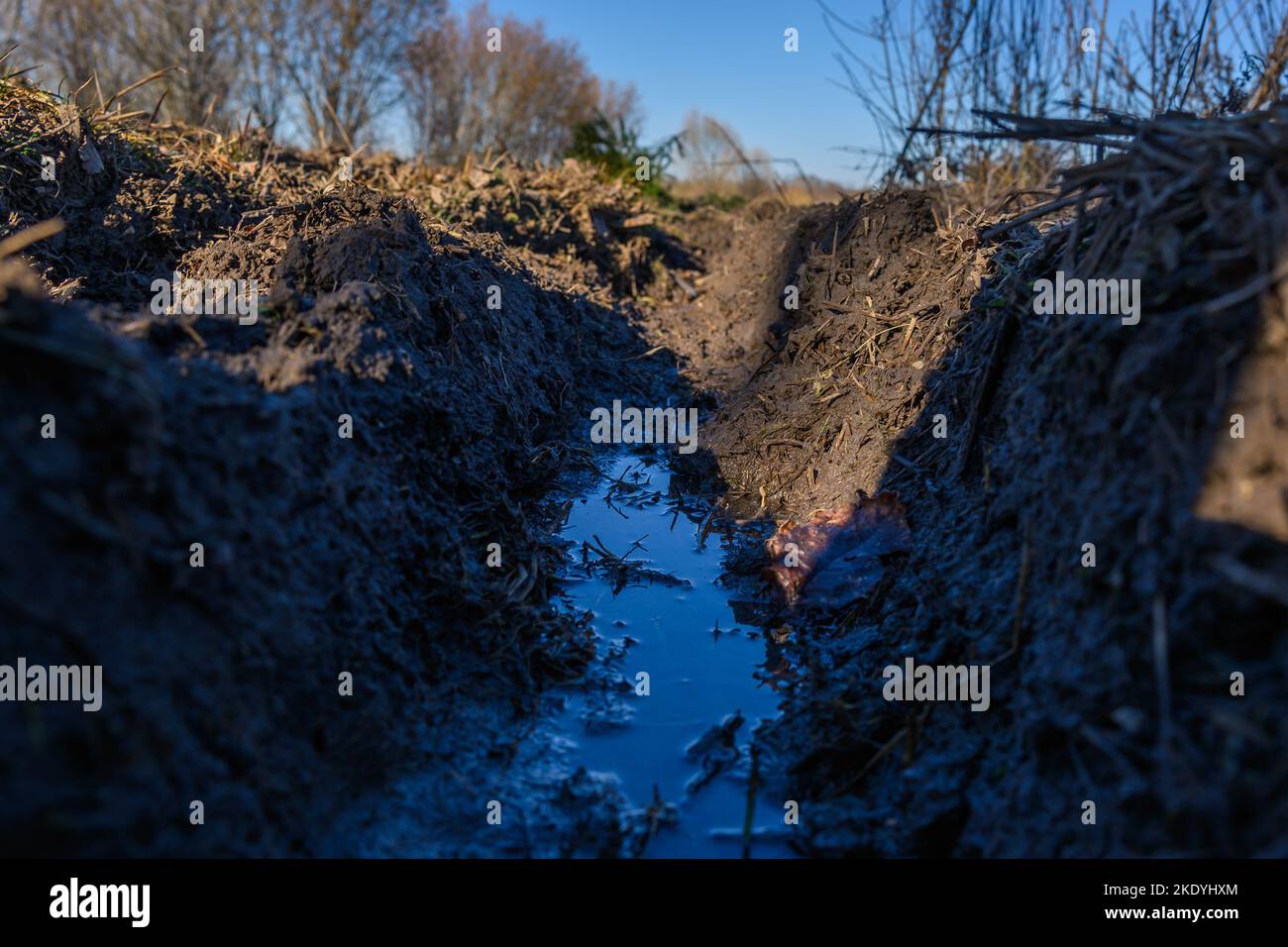Water in tractor tire footprints Stock Photo Alamy