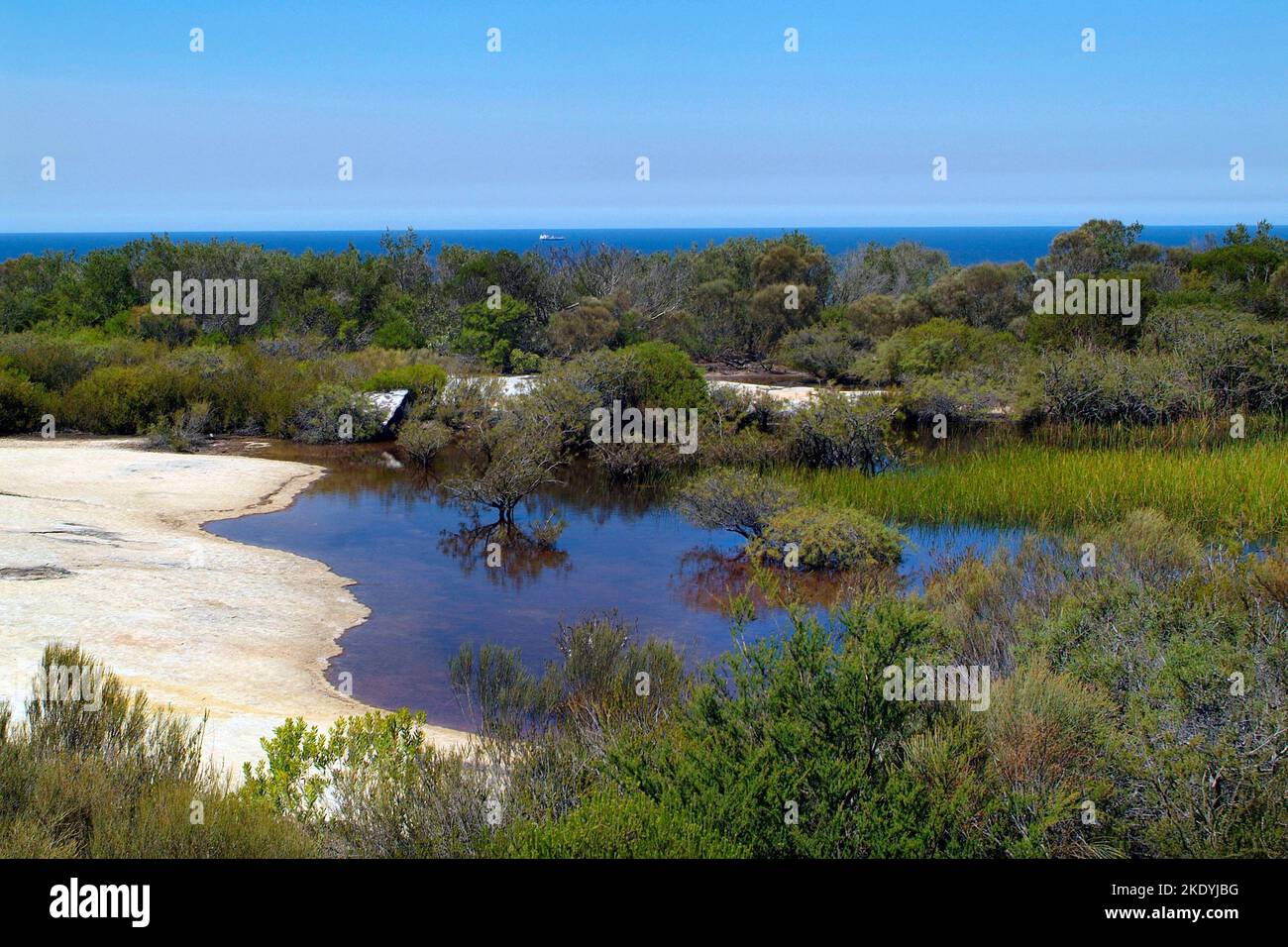 Australia, landscape with billabong on North Head in Sydney Harbour National Park Stock Photo