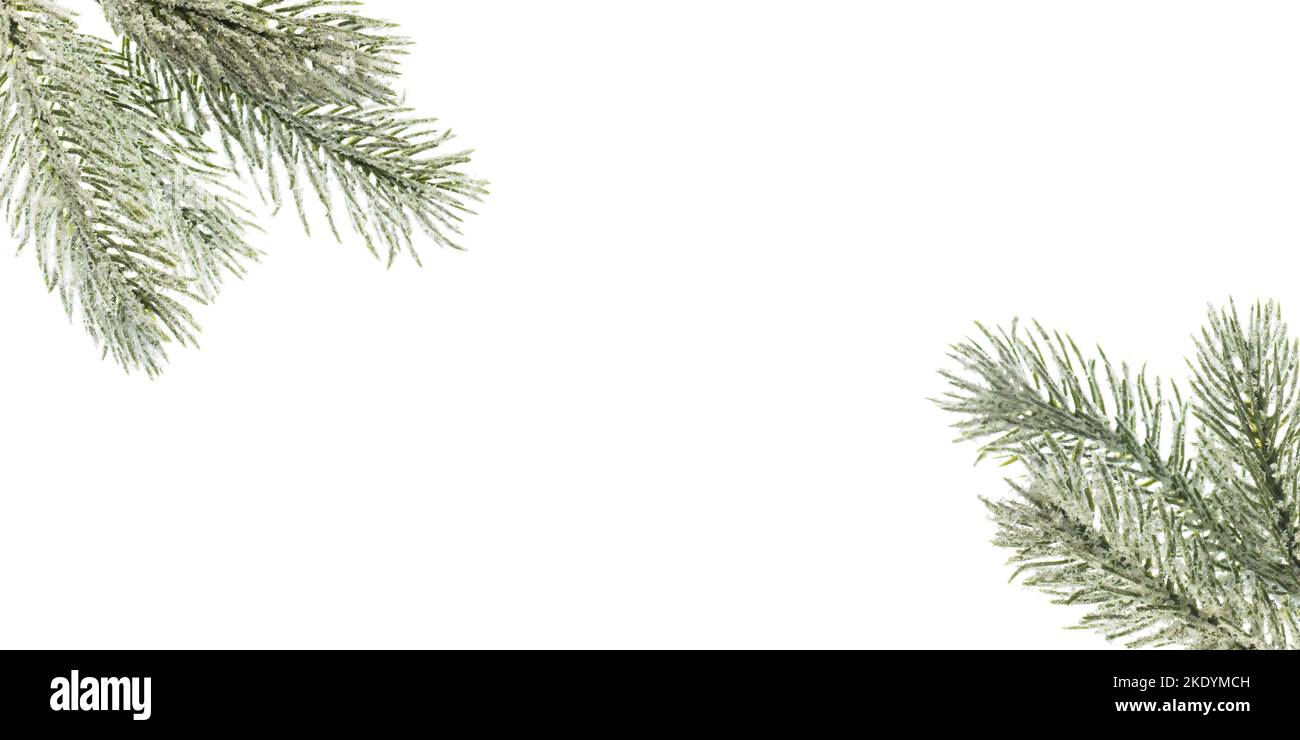 Christmas background with snowy green fir tree twig isolated on white ...