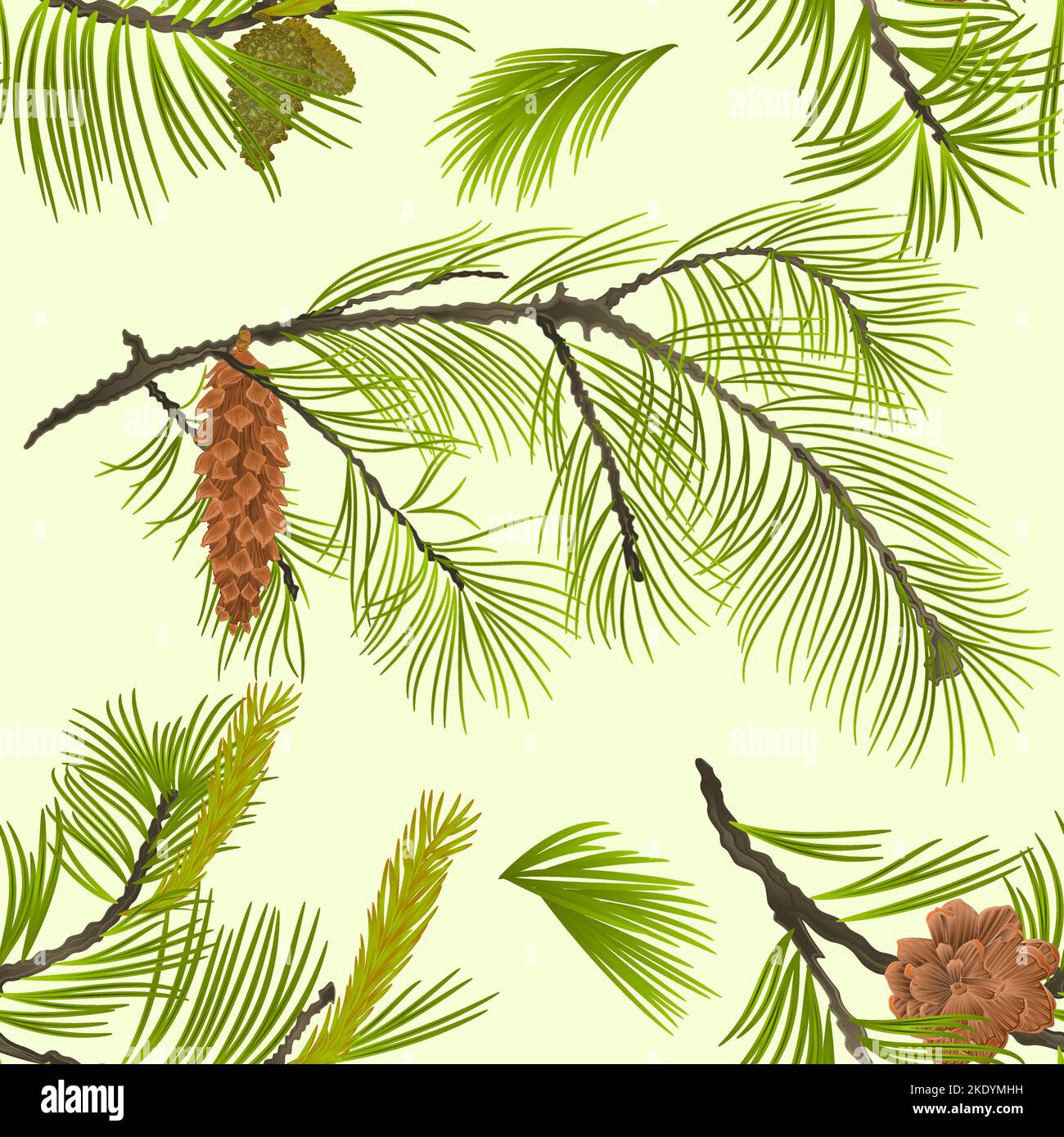 Seamless texture White Pine branch with pine cone and flowering black pine vintage  vector Illustration editable hand draw Stock Vector
