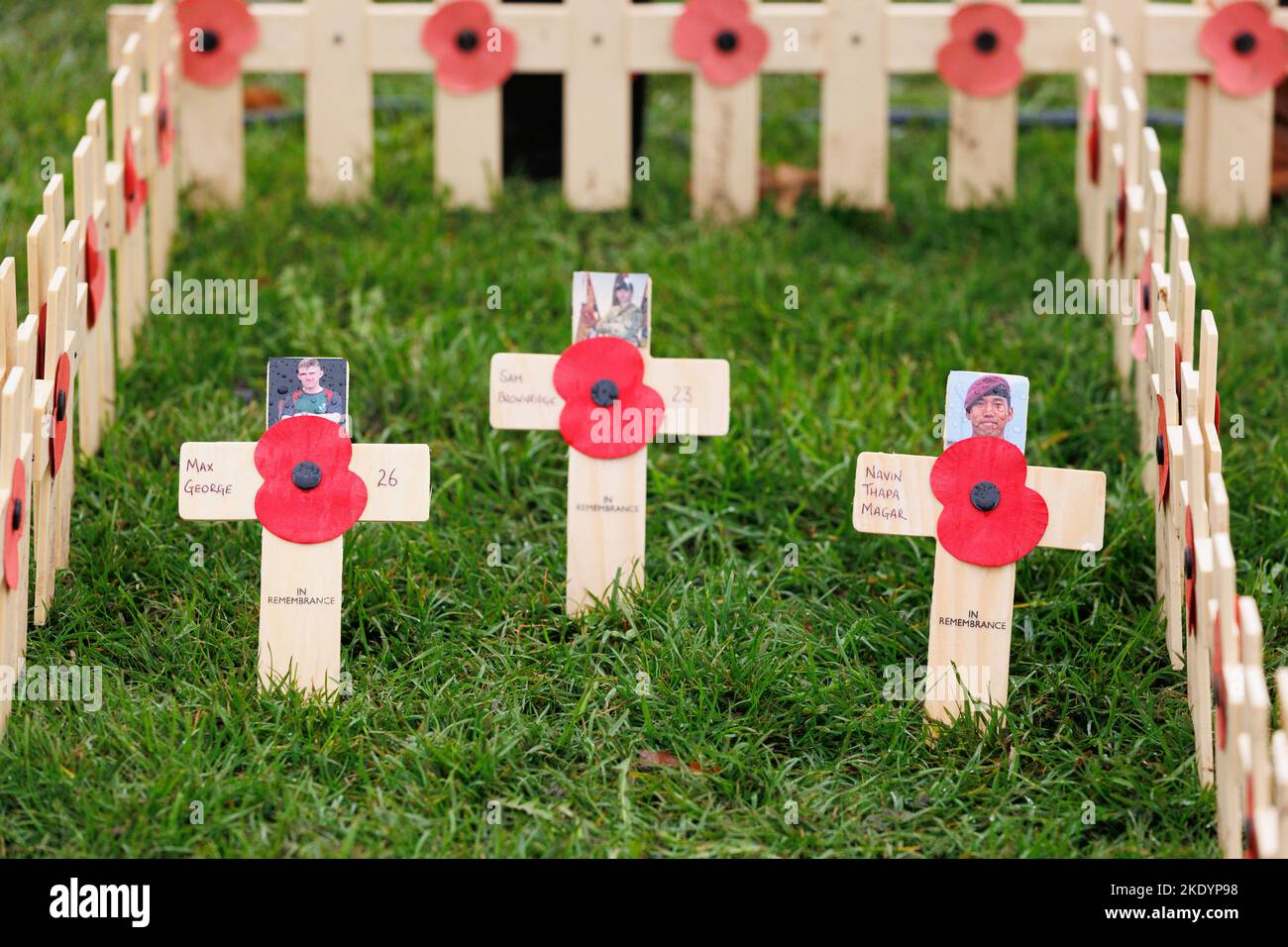 The dedication of the poppy field of remembrance at the National Memorial Arboretum in Staffordshire, UK. Poppies planted in remembrance of loved ones who died in active service in 2022. Stock Photo