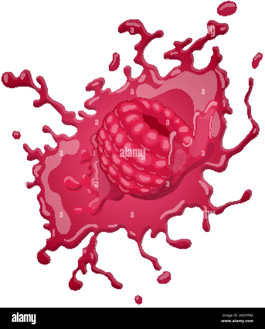 raspberry splash cartoon vector illustration Stock Vector Image & Art ...