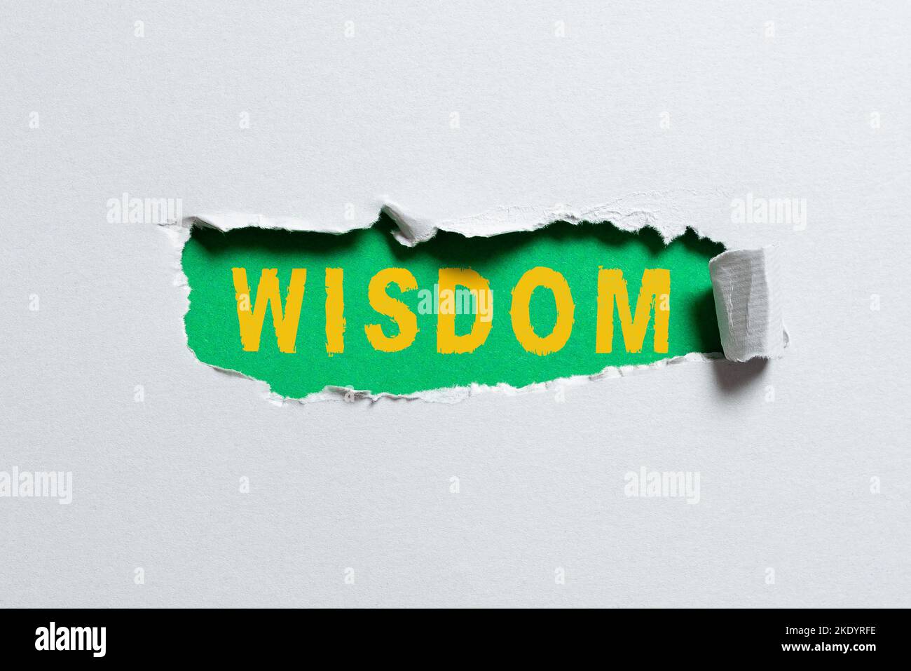 Conceptual caption Wisdom, Business overview body of knowledge and principles that develops within specific period Stock Photo