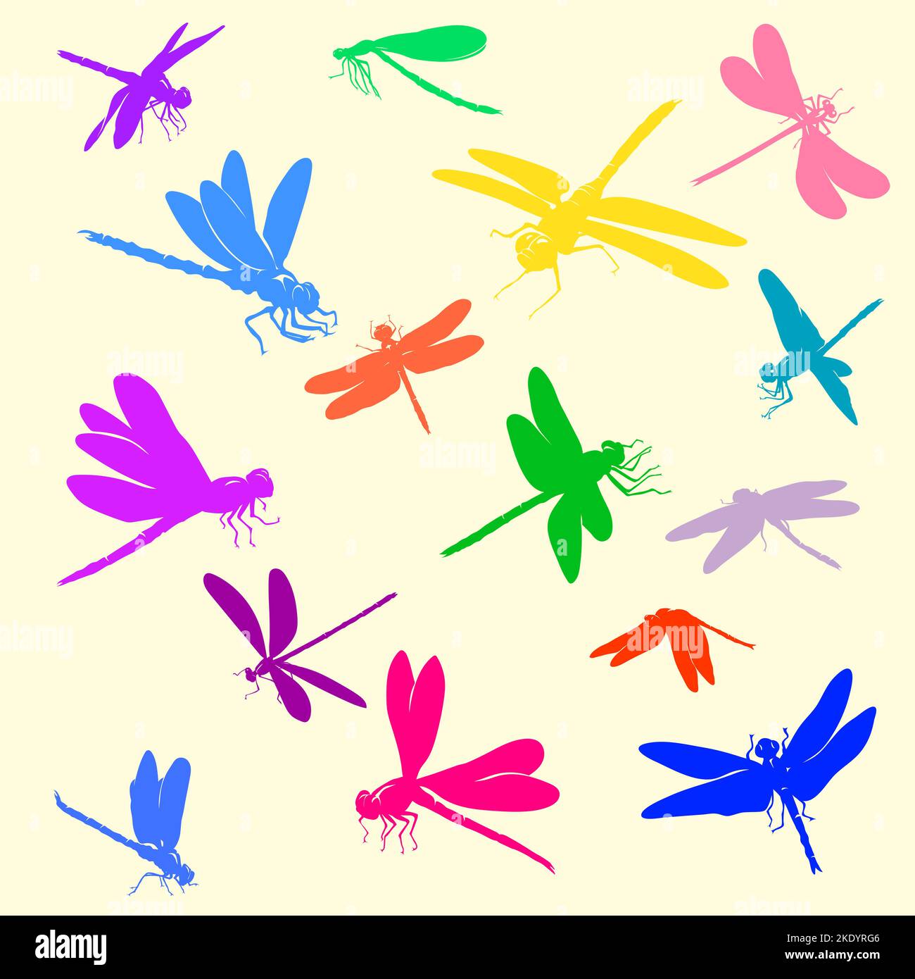 Realistic color image of dragonfly, fly, pattern of dragonfly Stock