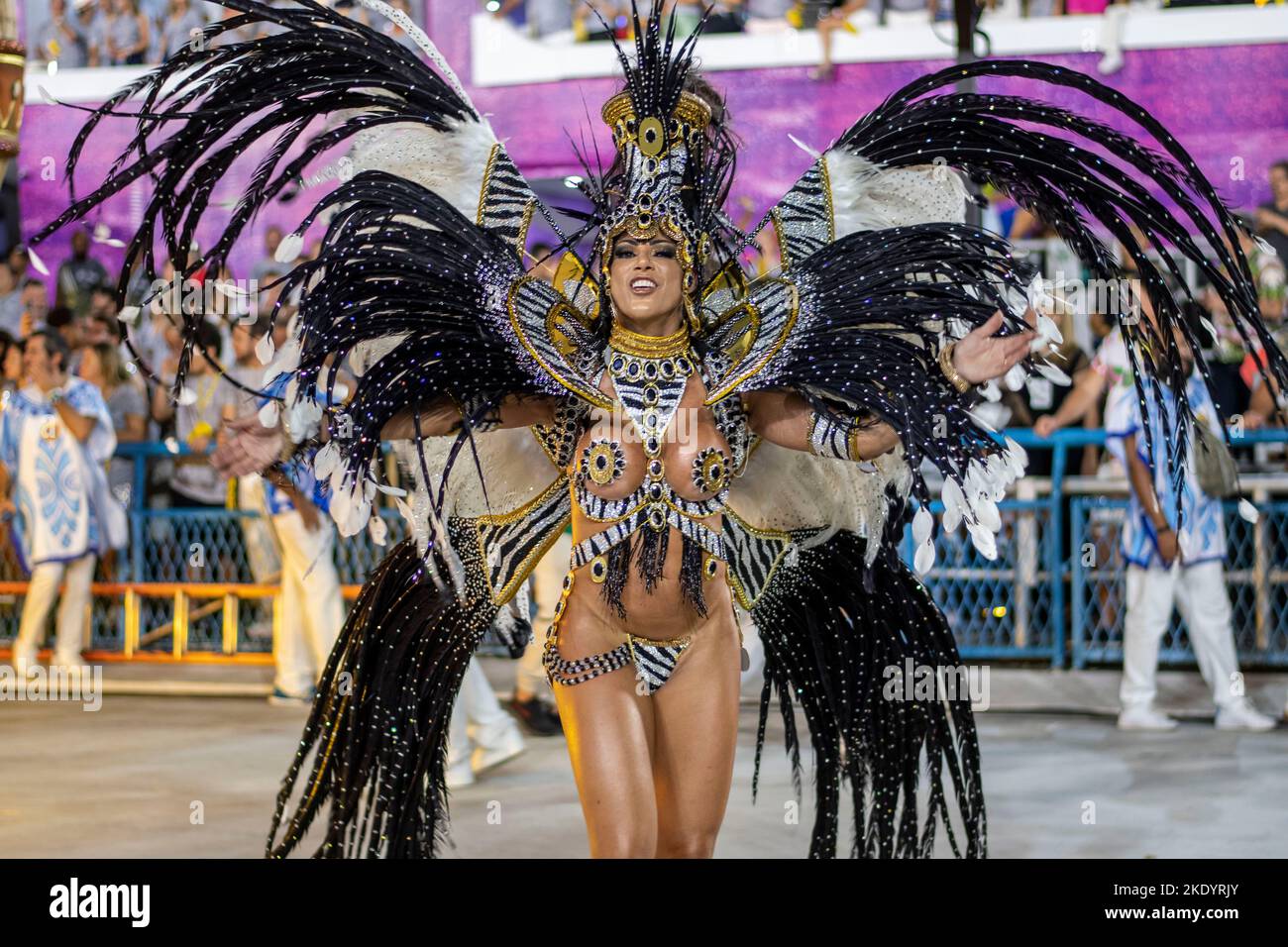Brazil Carnival Costumes 2022