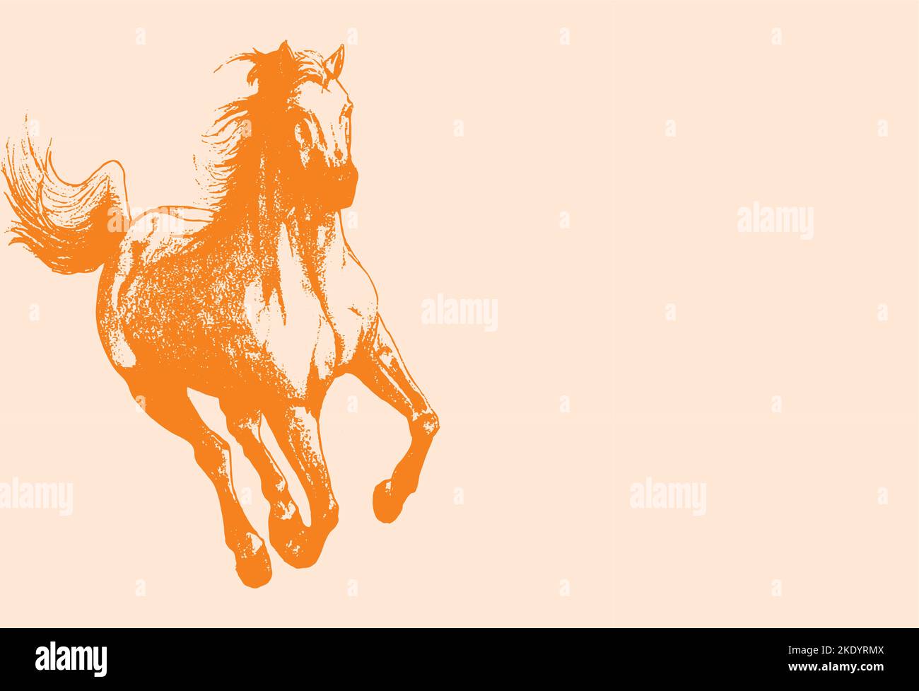 A vector illustration of a beautiful running horse drawing Stock Vector Image & Art Alamy