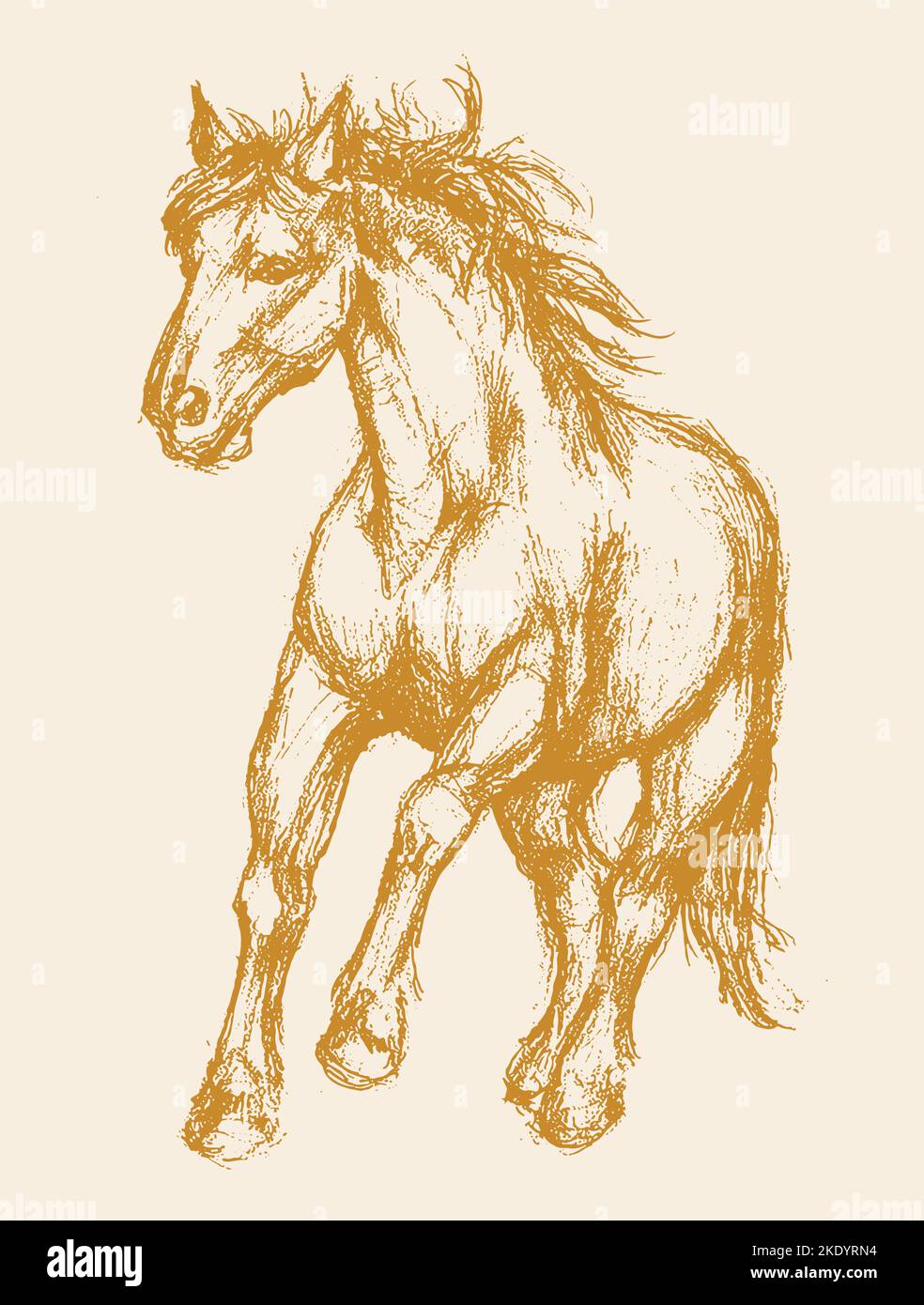 A vector illustration of a beautiful running horse drawing Stock Vector Image & Art Alamy