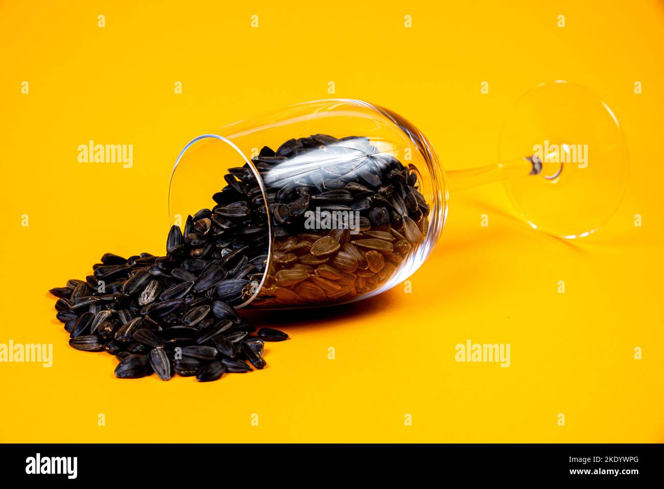 white sunflower seeds in glass jar. in bucket sunflower seeds on black background. concept white
