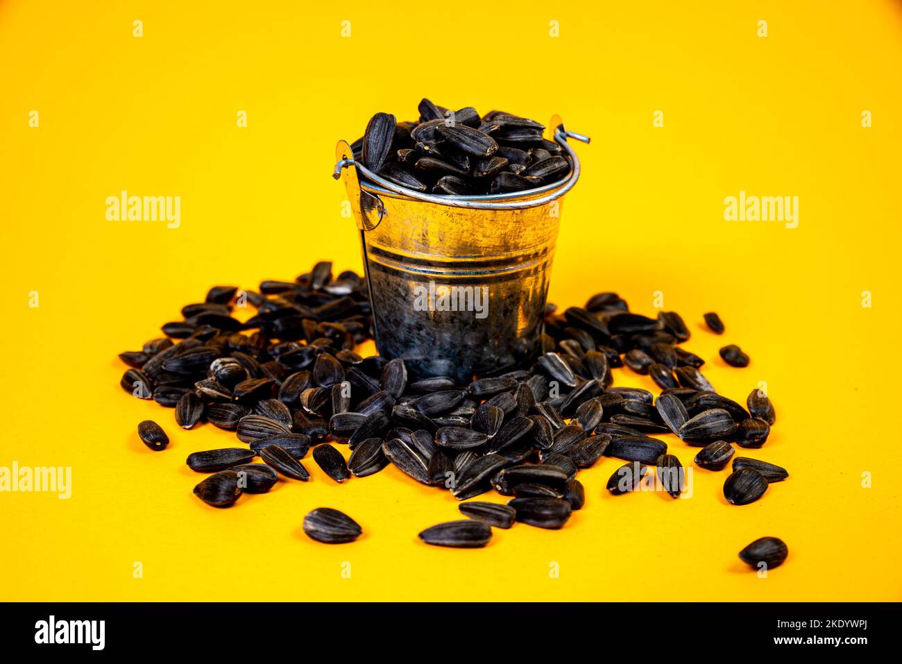 white sunflower seeds in glass jar. in bucket sunflower seeds on black background. concept white