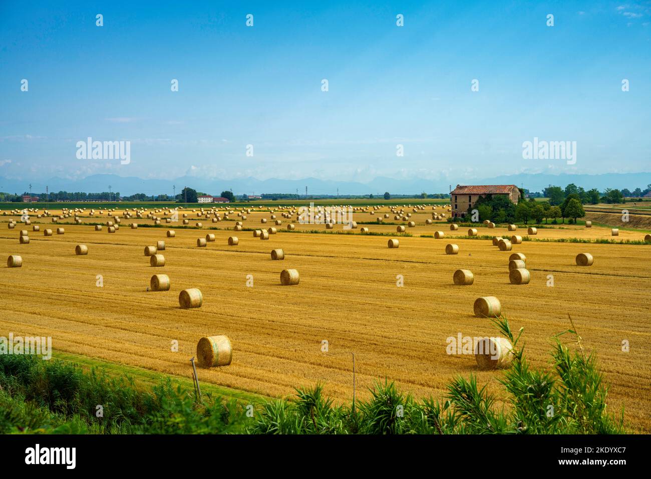 Venice Italy Rural Rural landscape near Caorle, Venice province, Veneto, Italy, at summer ...