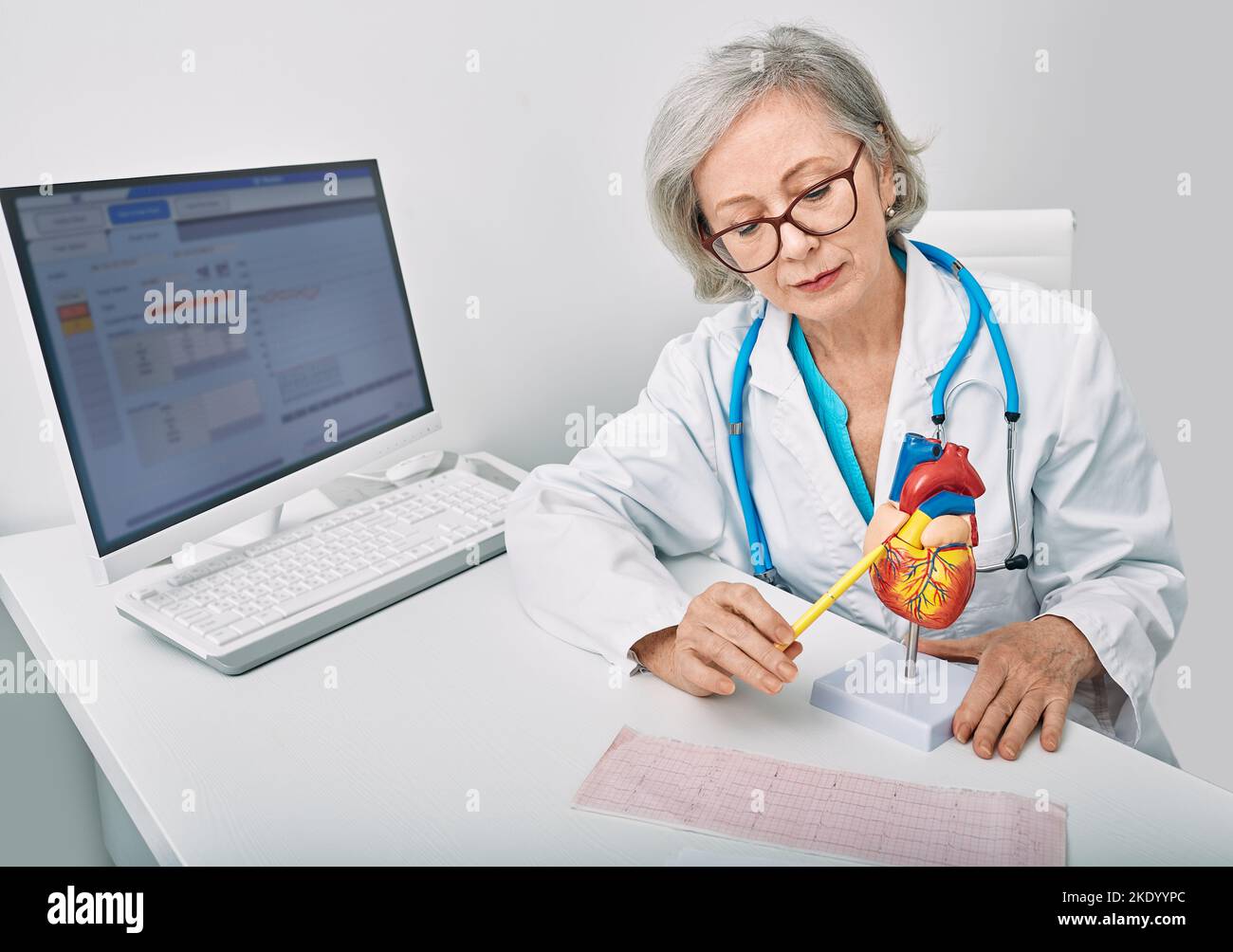 Female cardiologist showing anatomical model of human heart during consultation. Cardiology consultation Stock Photo