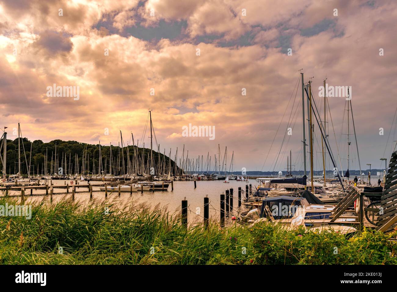 A port with many docked boats under a sunset sky with trees in the ...