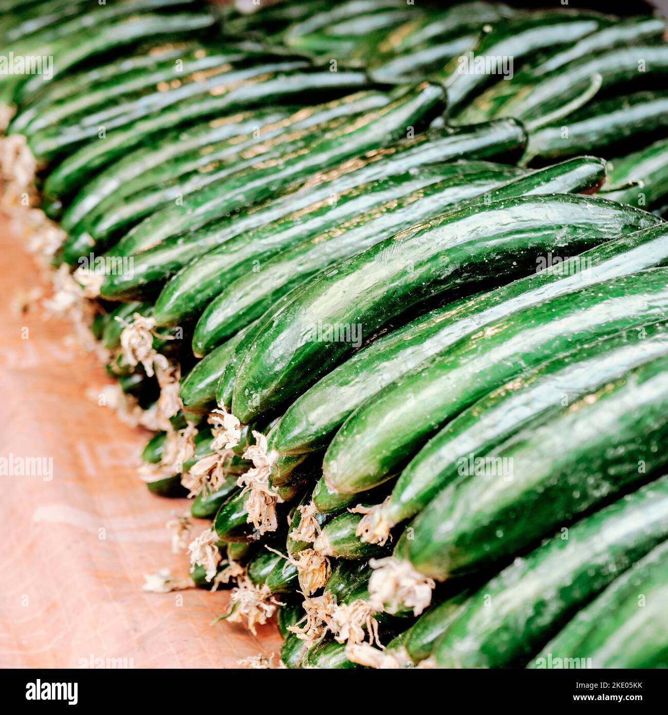 Green zucchini Stock Photo