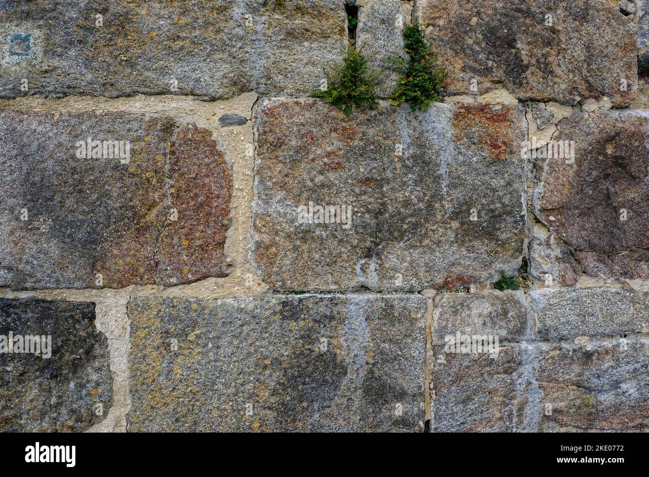 old wall from nice castle in czech republic Stock Photo