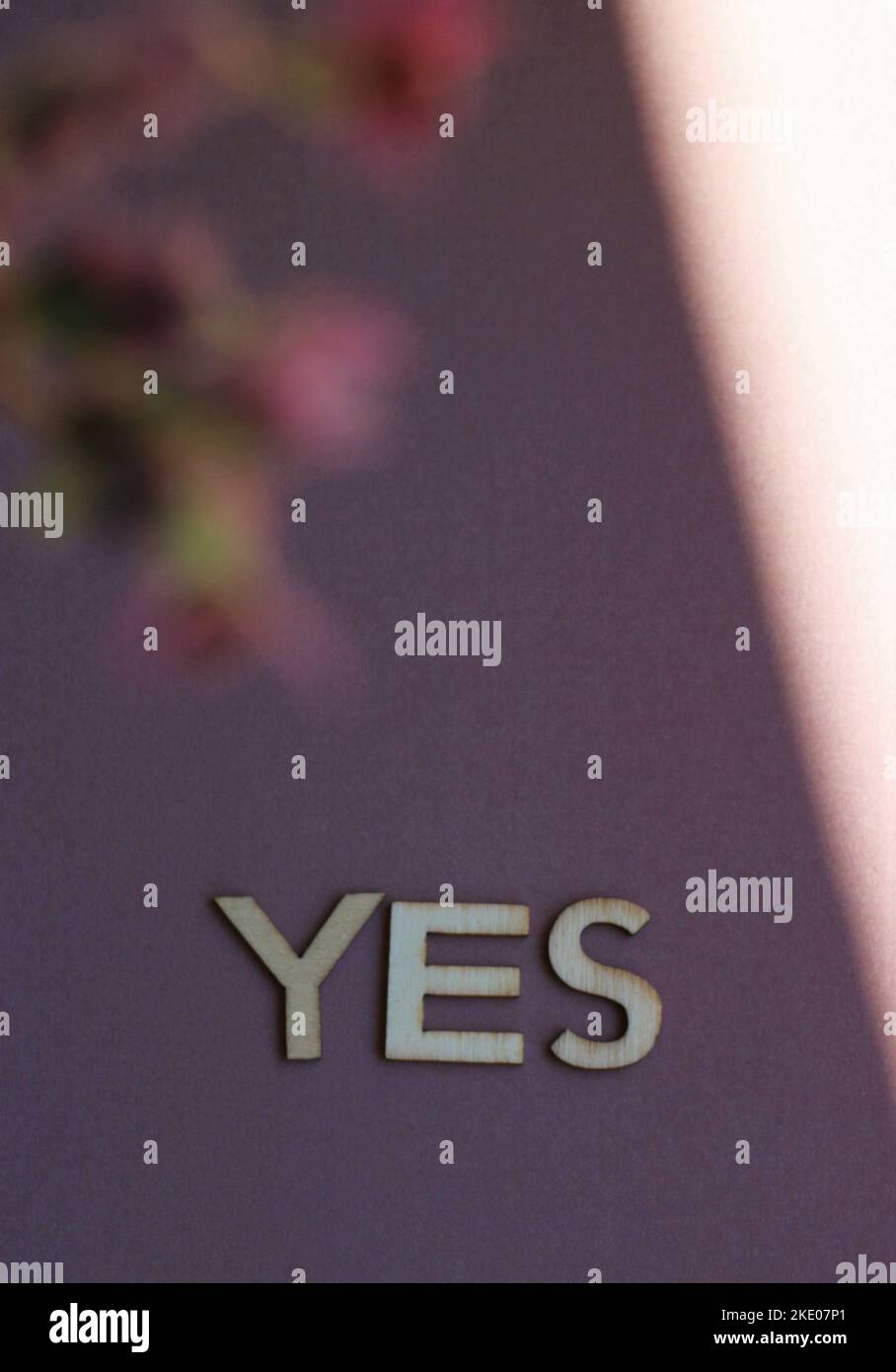 A yes text against a blurry flowers background with copy space Stock ...