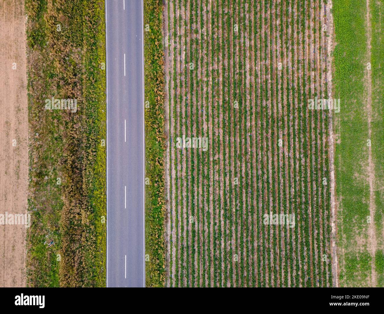 An aerial view of an asphalt road surrounded by lush green meadows and ...