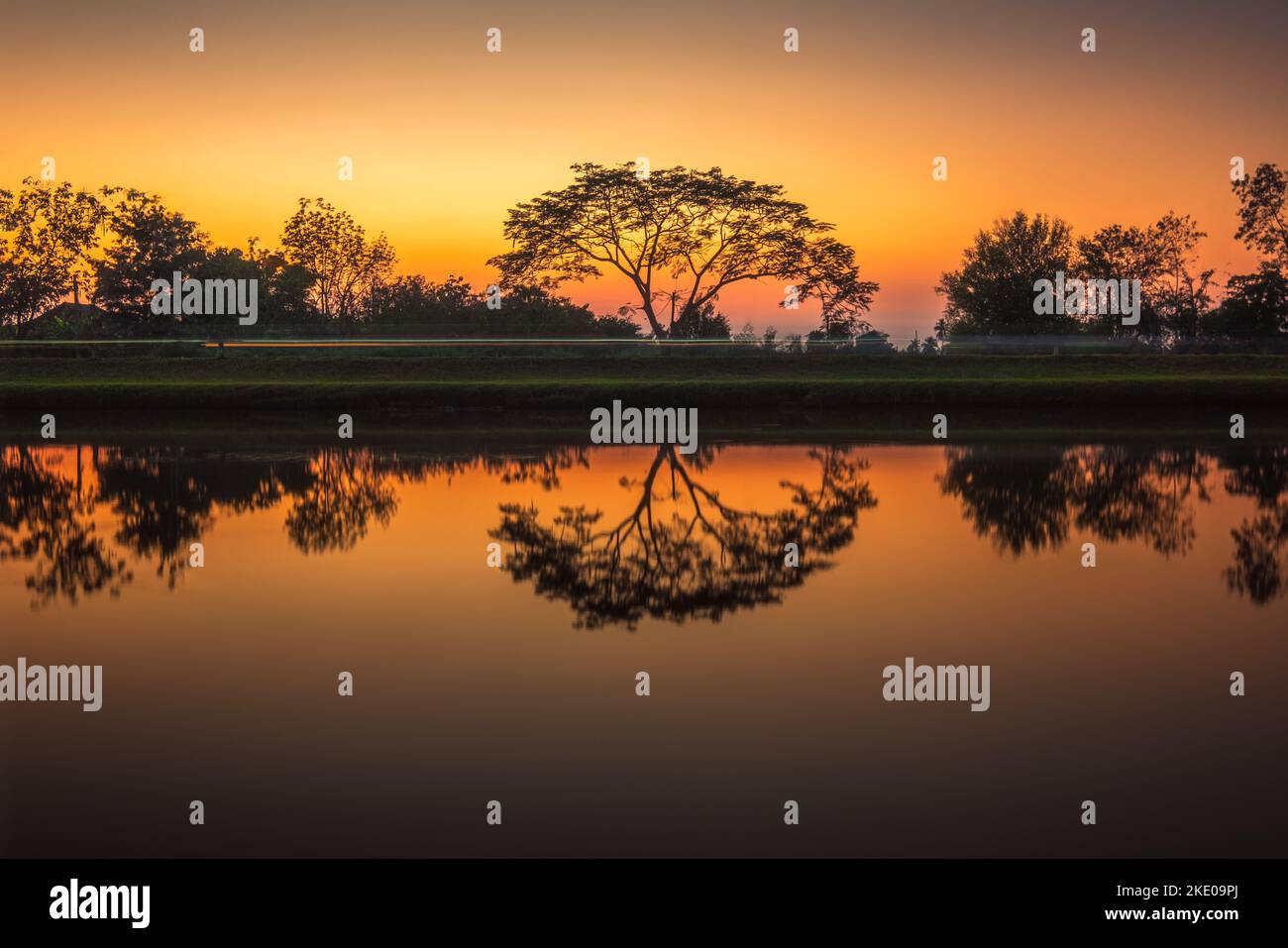 Trees by the canal at sunset, water reflection Stock Photo - Alamy