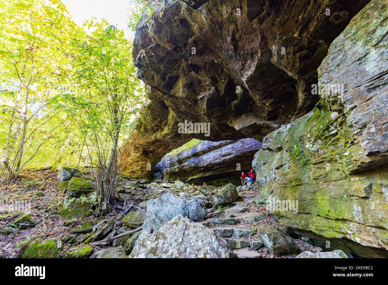 Arkansas, OCT 1 2022 Hiking in the Alum Cove Trail Stock Photo Alamy