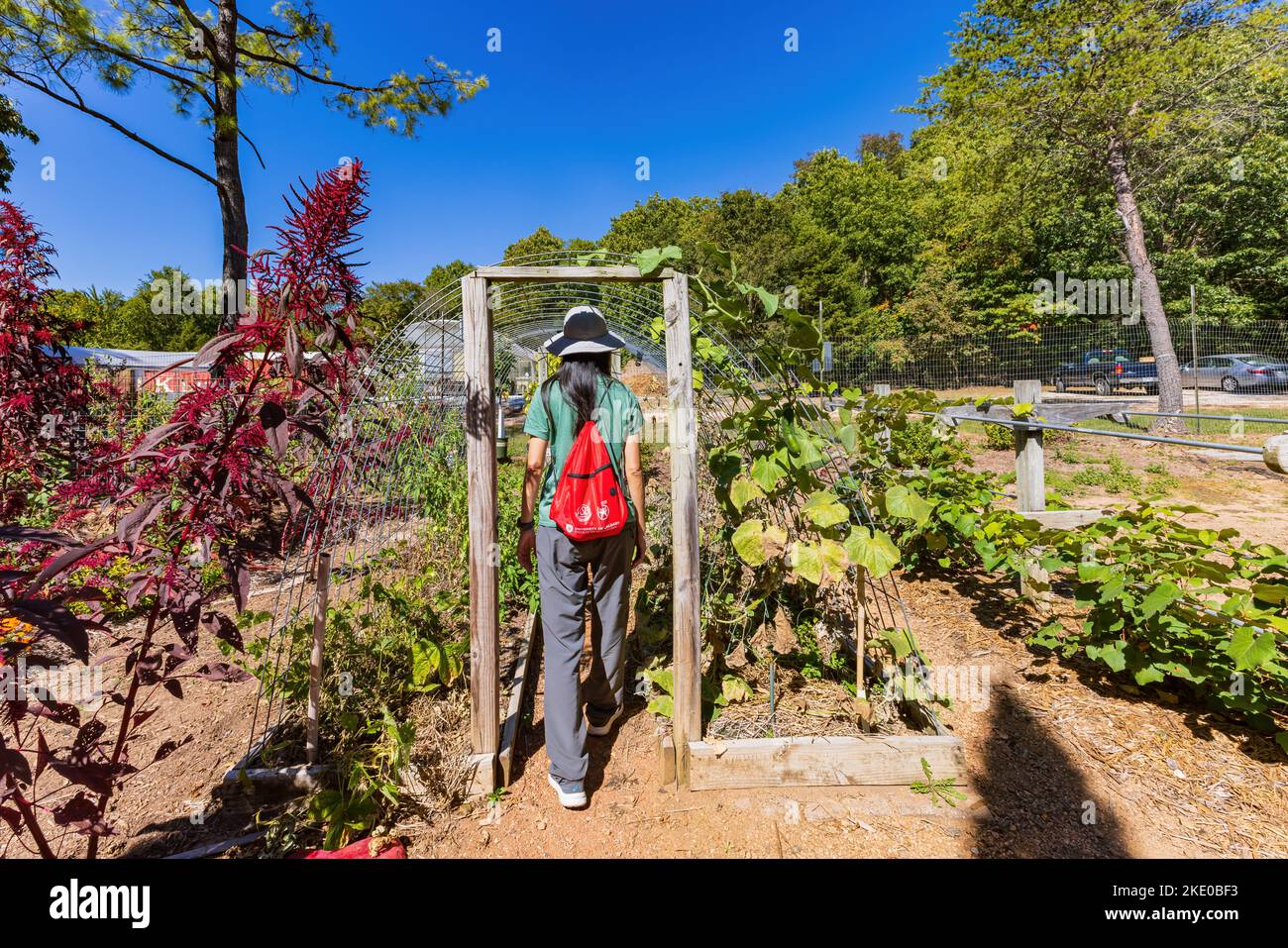 Arkansas, OCT 2 2022 - Woman walking in the Botanical Garden of the Ozarks Stock Photo