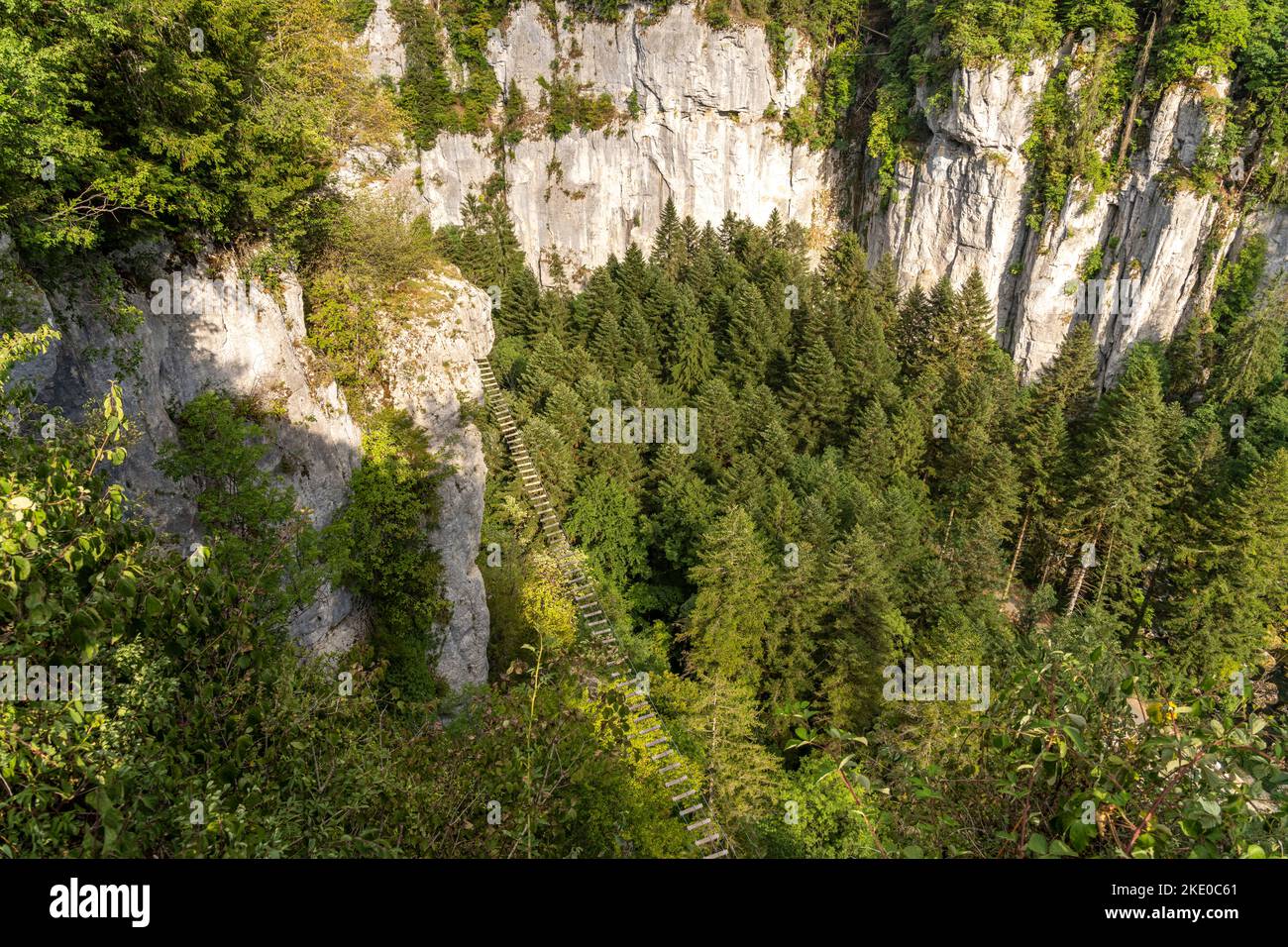 Blick in die Schlucht mit den Echelles de la Mort Todesleitern im Tal der Doubs, Charquemont, Bourgogne-Franche-Comté, Frankreich, Europa |  Canyon wi Stock Photo