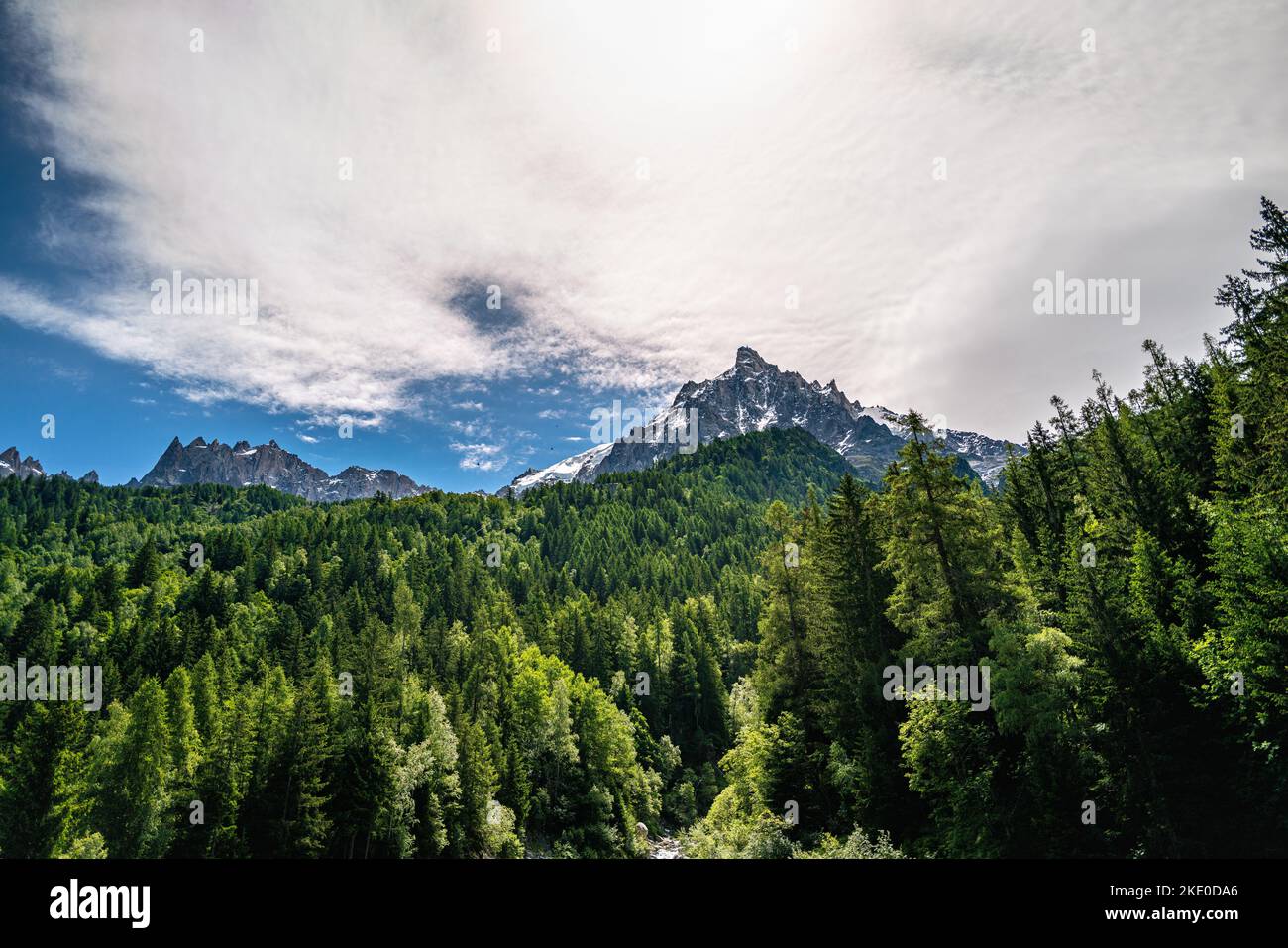 An aerial view of green forest trees near rocky mountains under a ...