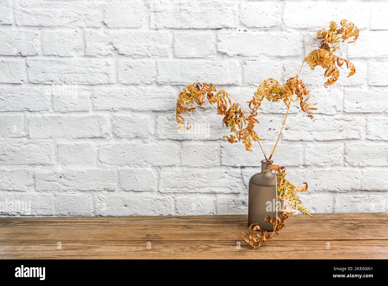Dried yellow fern branches in bottle on wooden shelf Stock Photo - Alamy