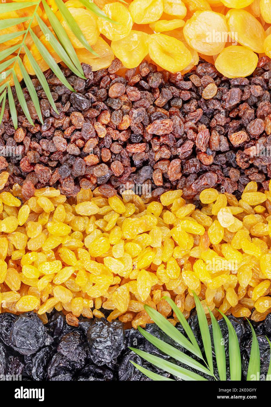 Dry fruits assortment with palm leaves. Rows of scattered dried
