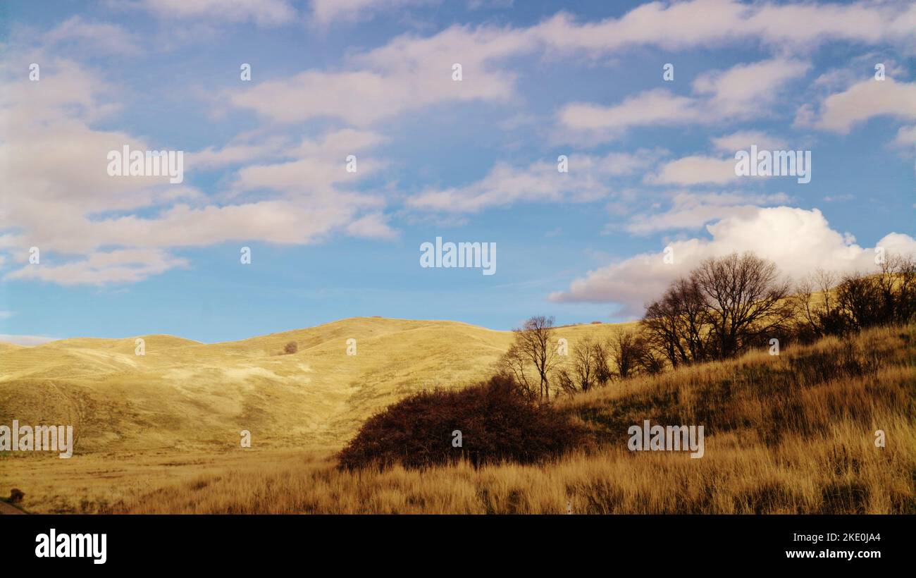 Golden Open Field Near Salt Lake City Stock Photo Alamy