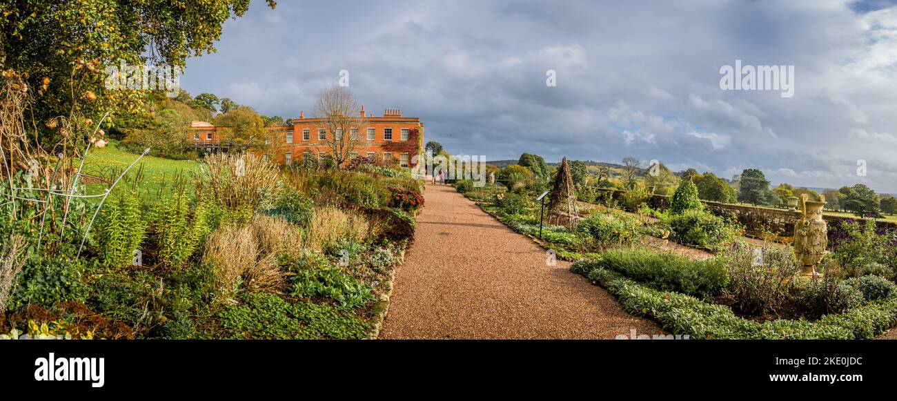 The gardens at Killerton, Devon Stock Photo