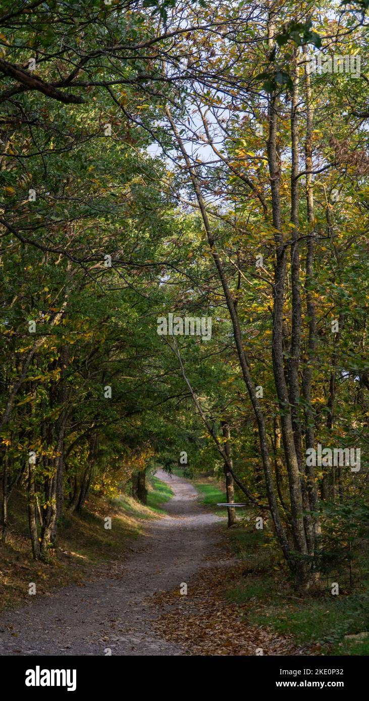 Vertical shot pathway park hi-res stock photography and images - Alamy